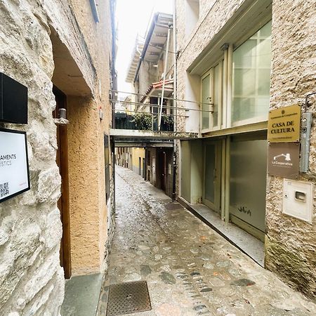 Apartamento Duplex En El Corazon De Camprodon, La Rovira Esterno foto